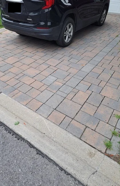 Une entrée avec des pavés unis installés dans un motif soigné."